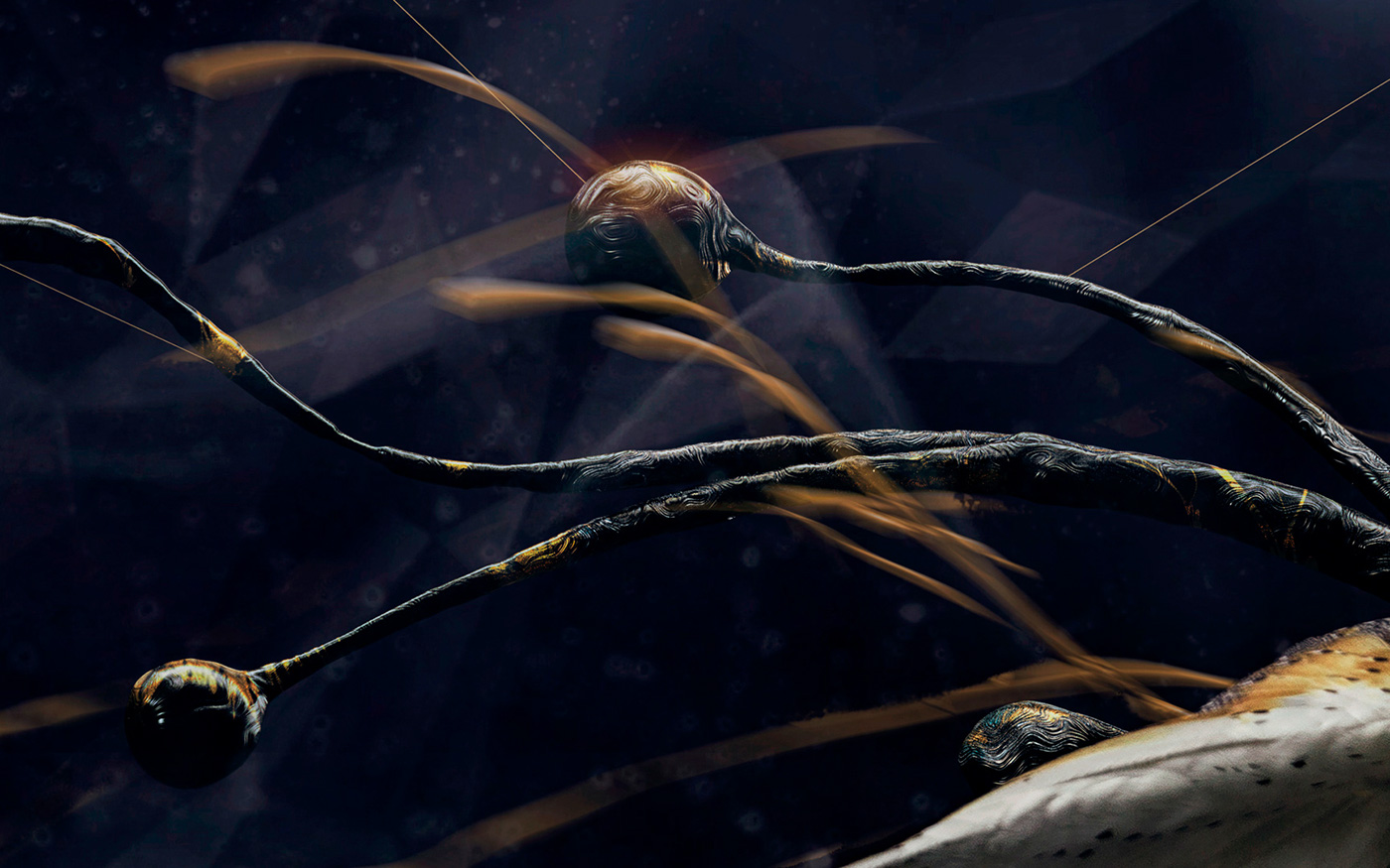 Darkslide 3D Photography  Hasselblad modo CGI dark barn owl stopdown  nino3thd