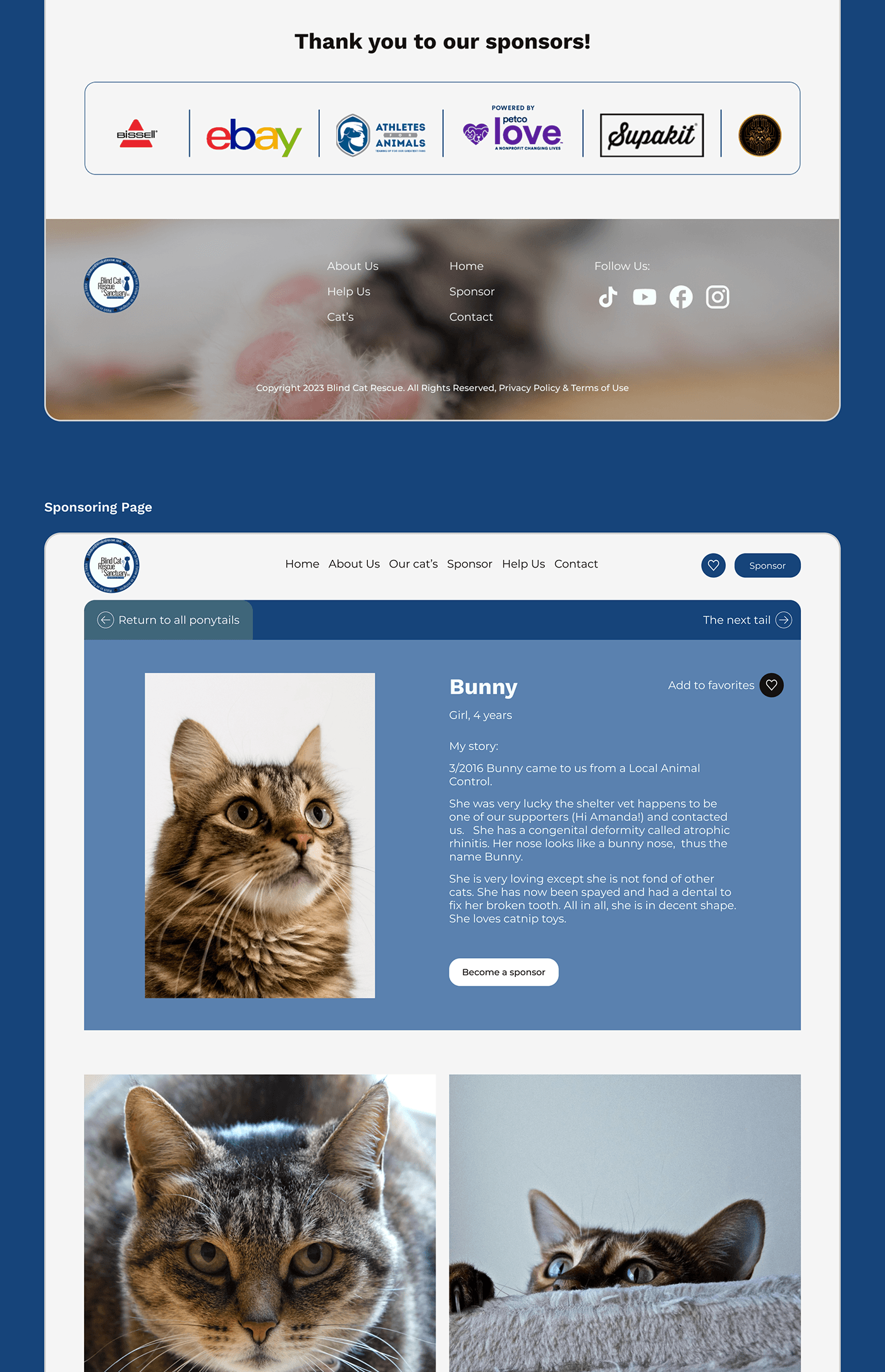design blind UI/UX user interface Web Design  ux/ui Website ui design shelter blind cat