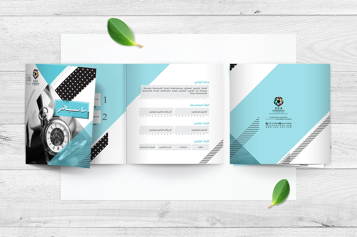 graphic design  trifold print design brochure leaflet