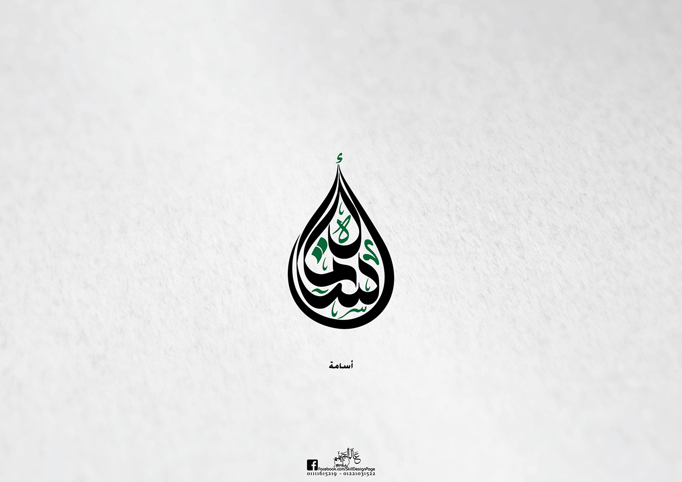 Calligraphy   freehand logo logodesign skill_designer Skilldesigner typography  