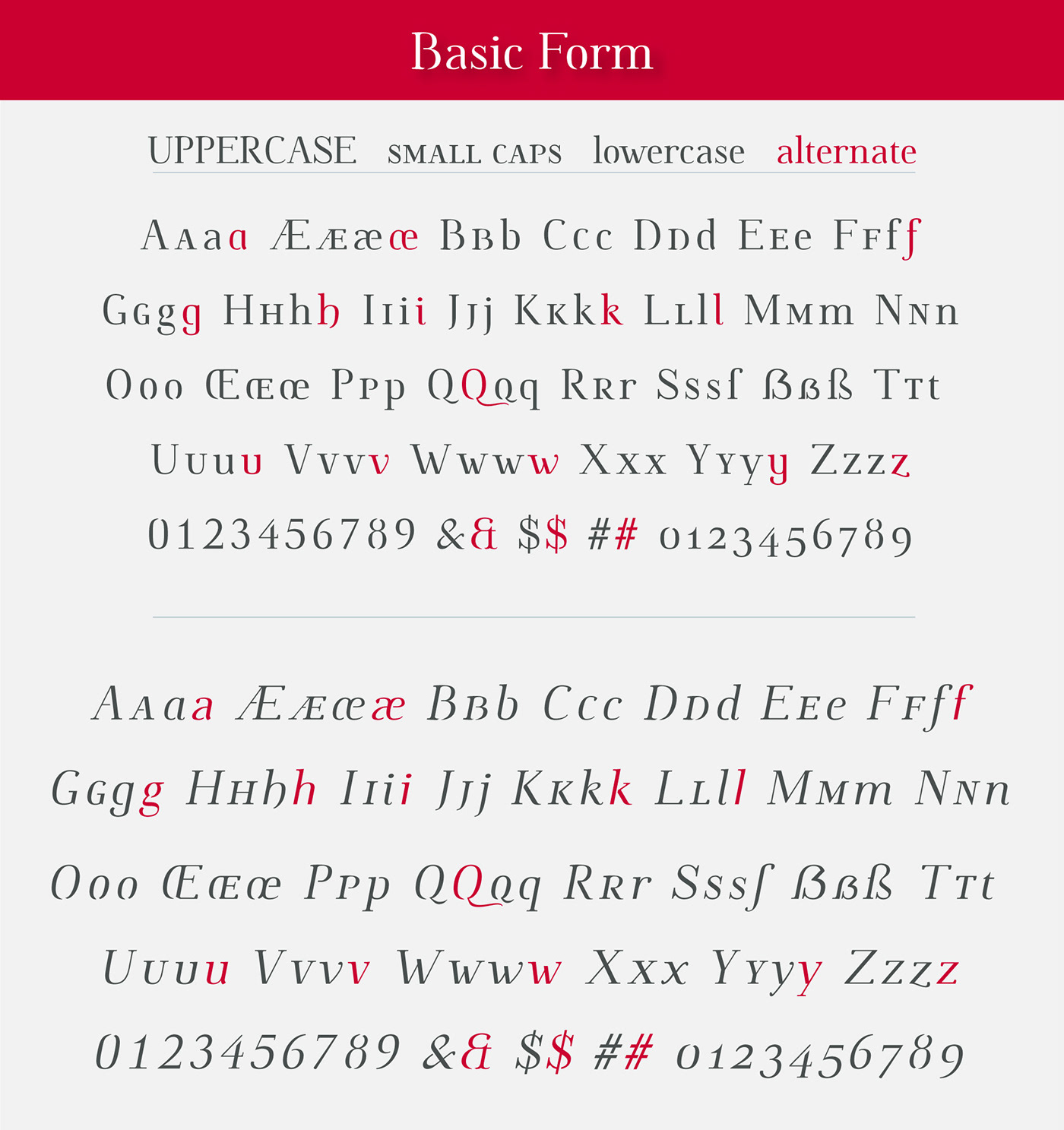 type font serif typography   stencil oldstyle ligature gliph  Opentype webfont