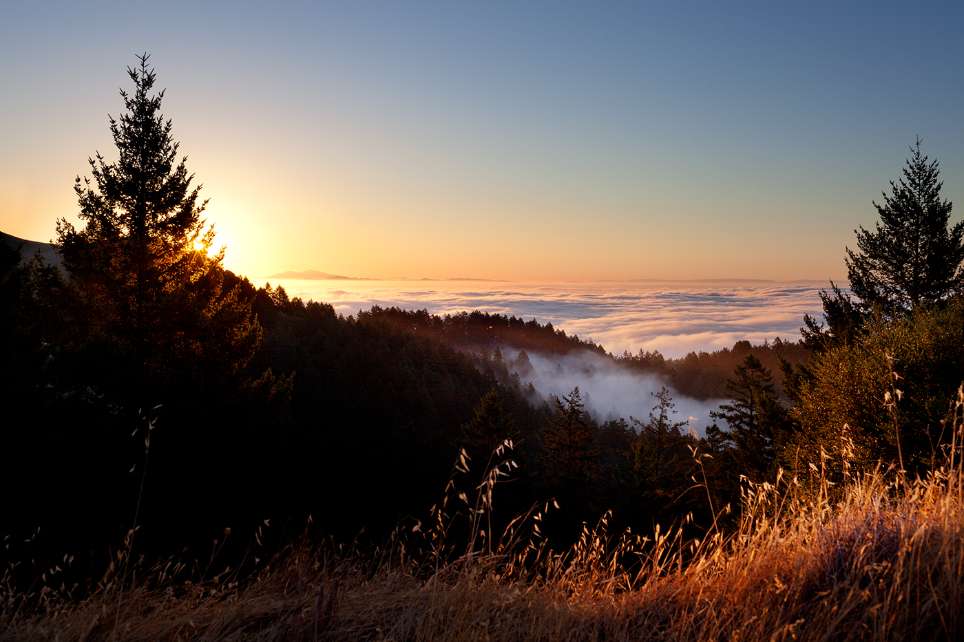 landscapes northern california san francisco national parks Sunrise