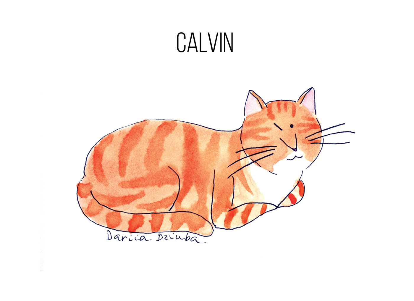 cats characterillustration illustrationofcats watercolor watercolour