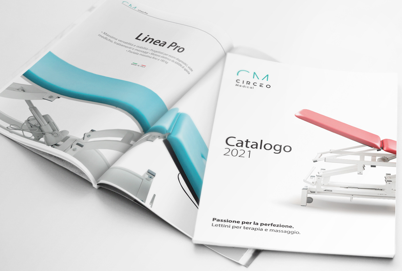 Advertising  brand brand identity branding  catalog identity Logo Design magazine print visual