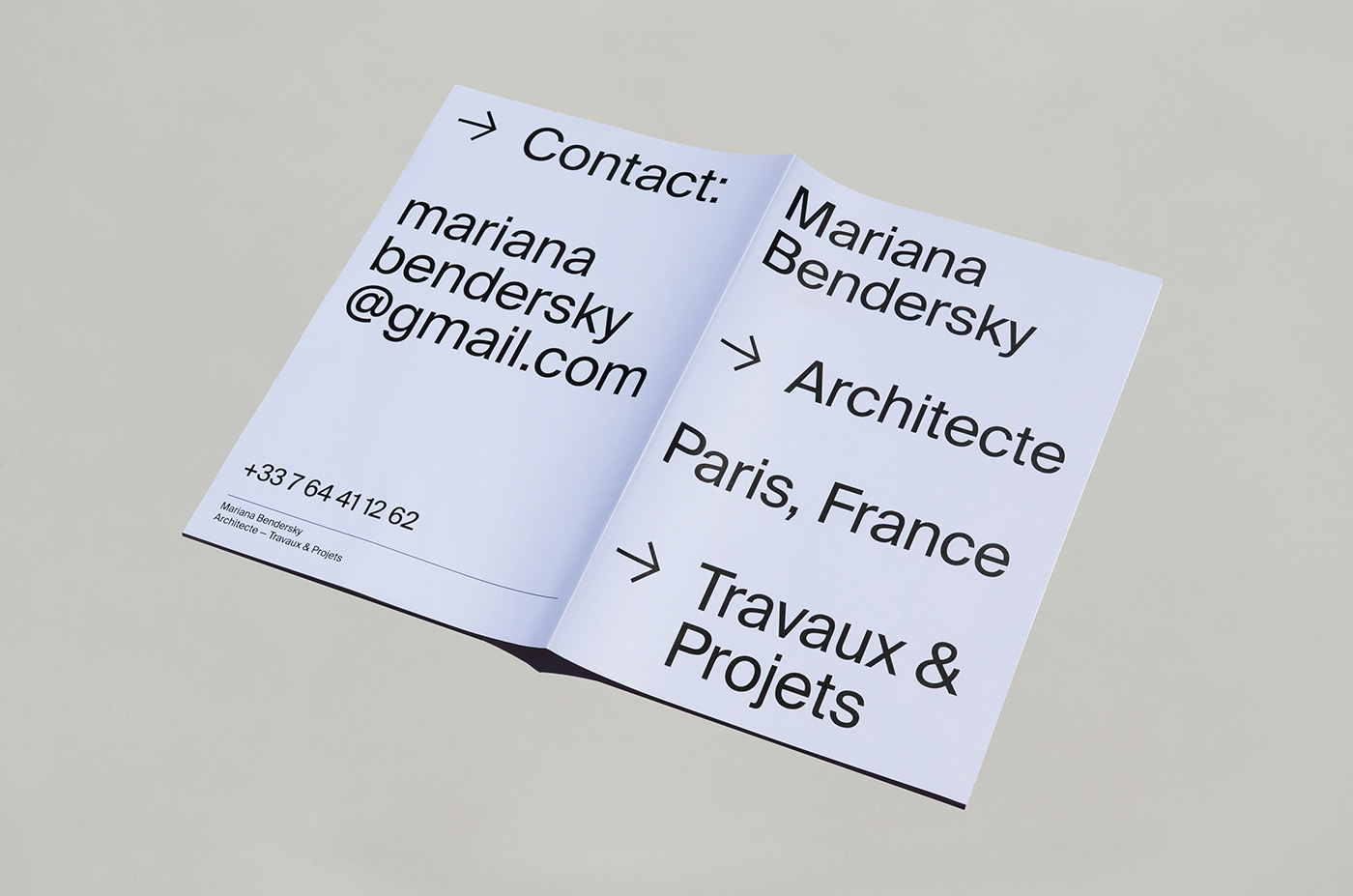 brand identity branding  editorial design  graphic design  identitydesign Layout logo print publication typography  