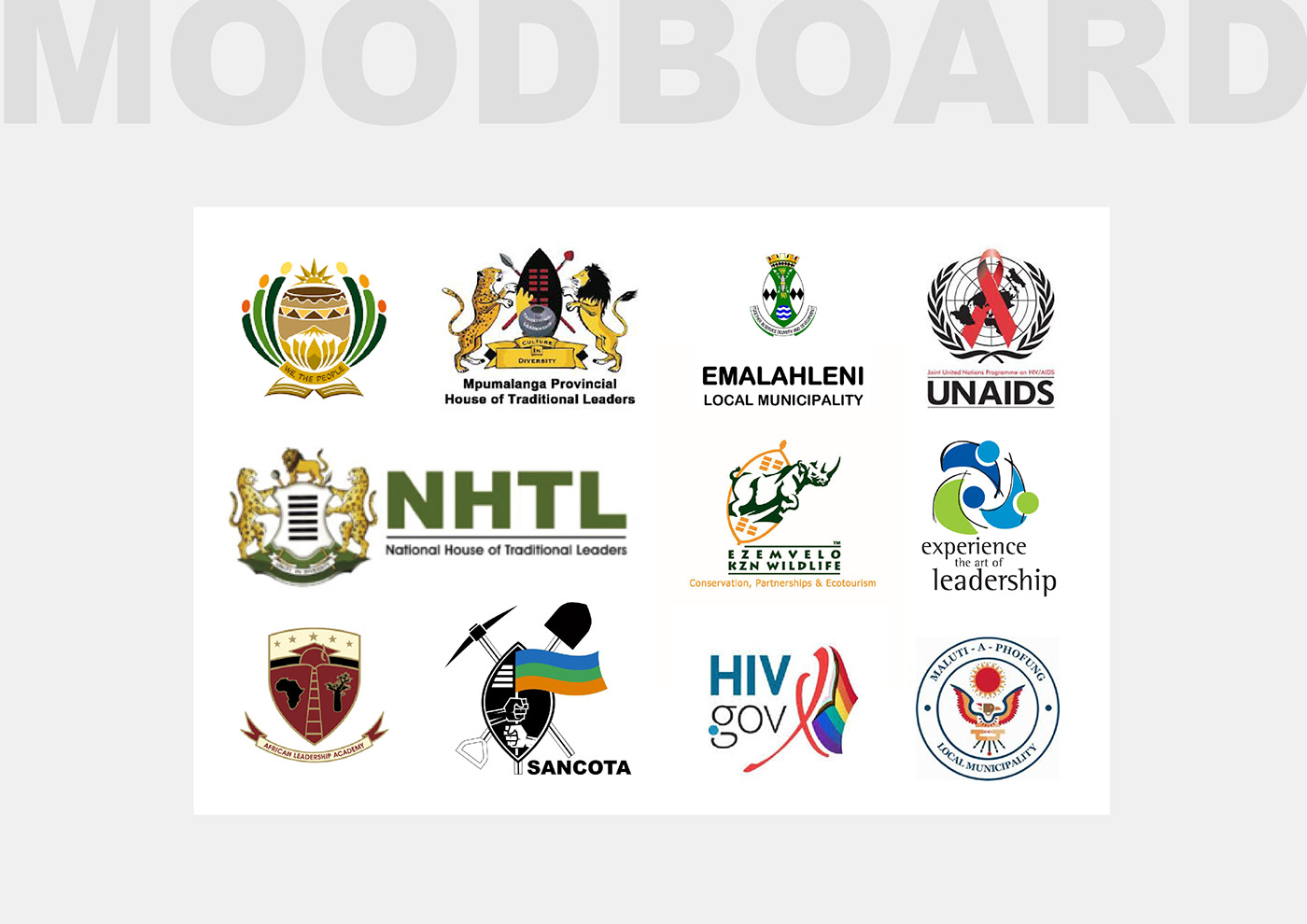Logo Design branding  t-shirt mockup logo application Government Branding brands brand identity Corporate Identity south africa government logo design