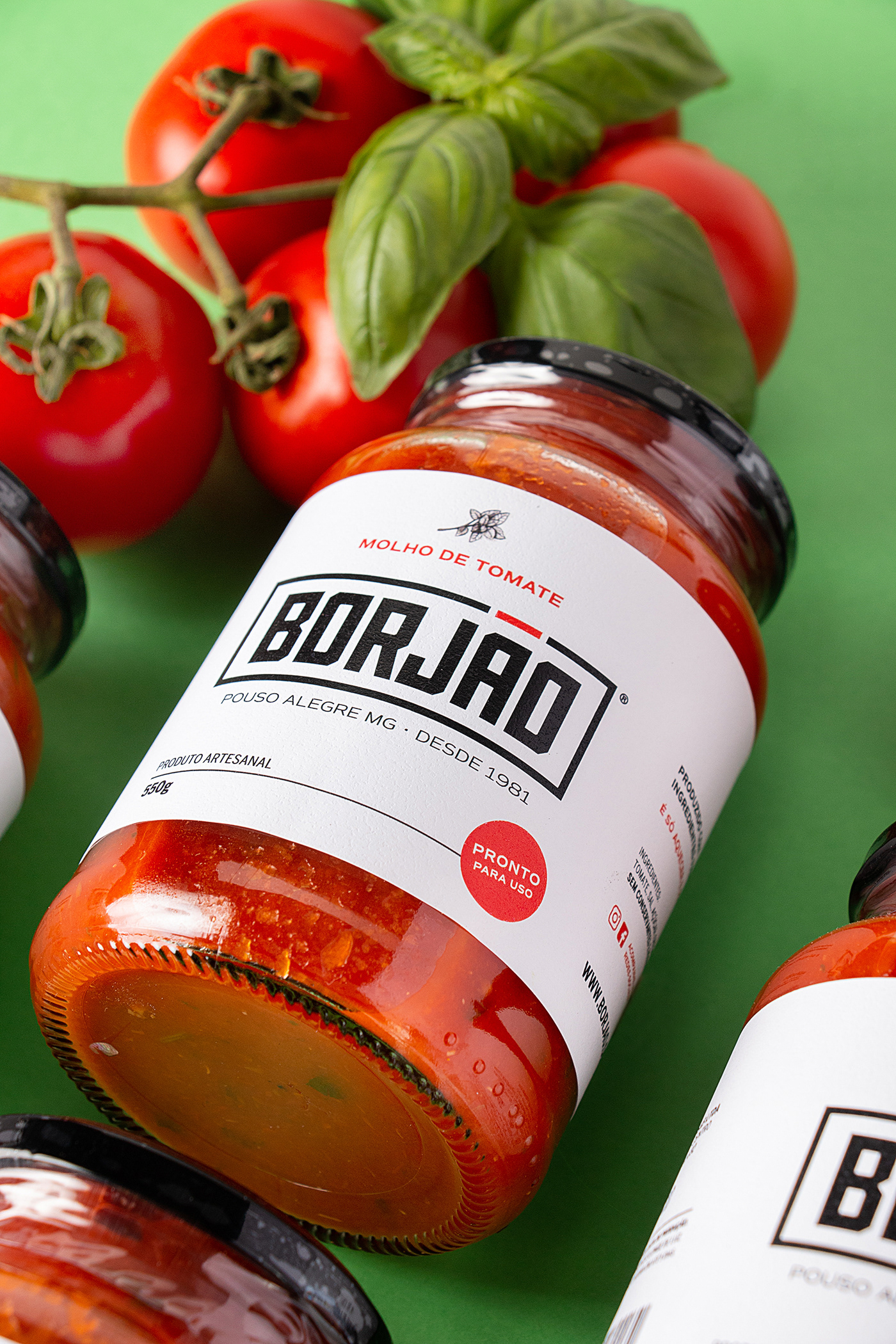 design branding  embalagem molho de tomate package package design  Packaging packaging design sauce tomate