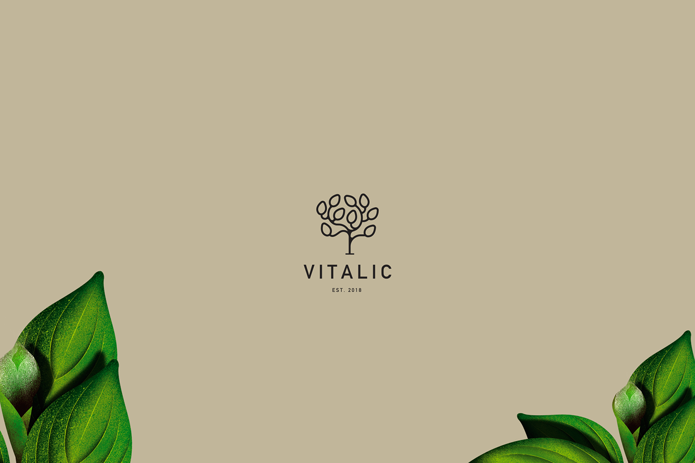 jam Packaging cursordesign Logotype Tree  logo brand earth product graphicdesign