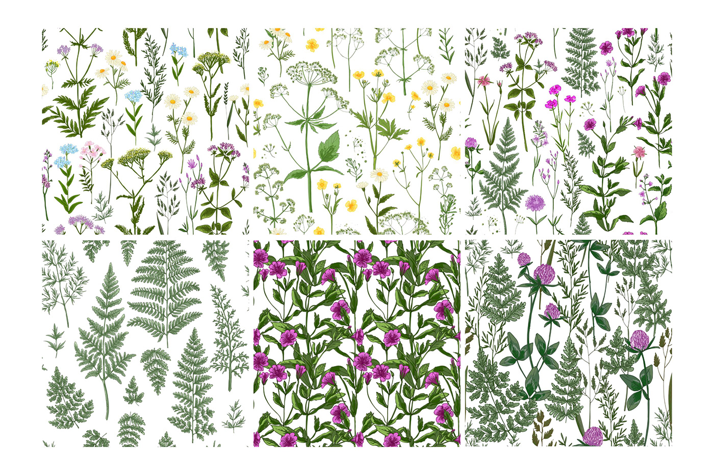 clipart Digital Art  digital illustration Drawing  Flowers Nature png sketch vector wild herbs
