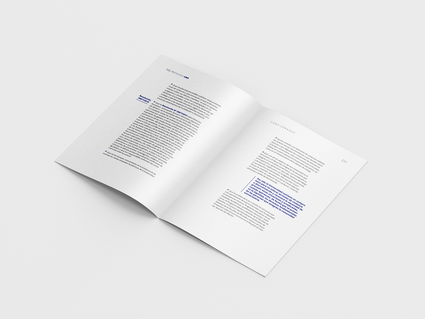 diseño diseño gráfico Diseño web editorial fadu ilustracion impresion Protocolo tipografia
