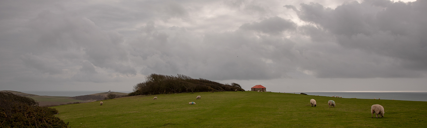 Coast Landscape seascpae sheep South-Downs view wind windy birling-gap Light-house