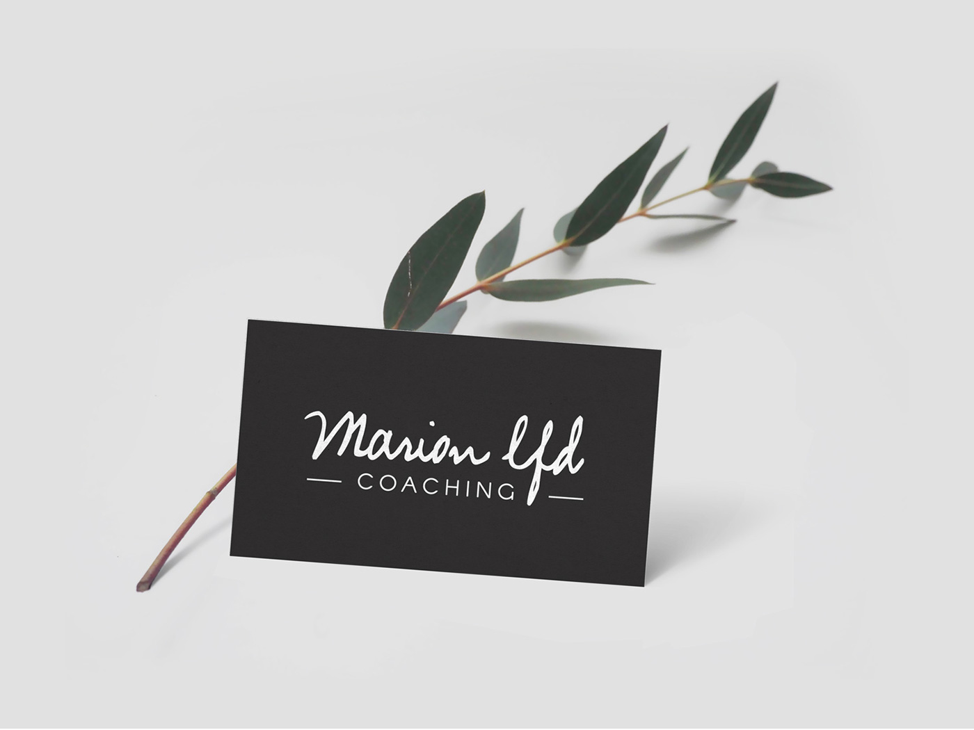 branding  graphic design  ILLUSTRATION  print business card Webdesign UI ux Mockup minimal