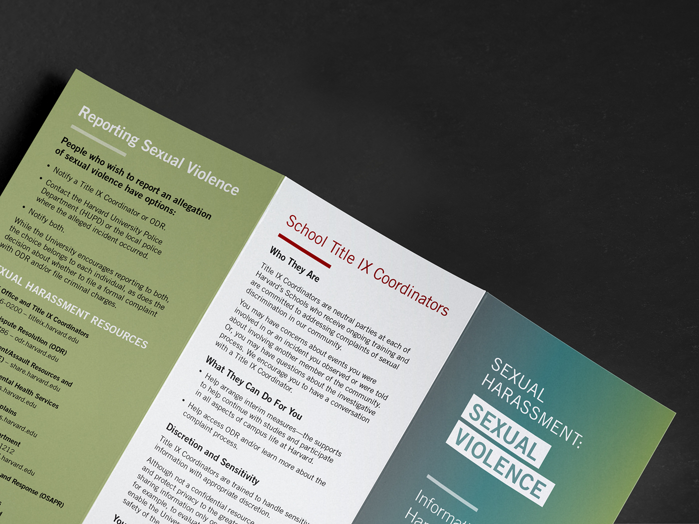 Harvard campaign awareness Website brochure Interface ux UI college Web Design 