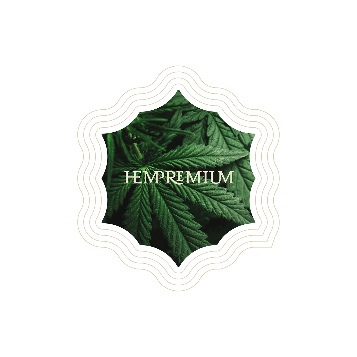 Packaging logo cannabis canapa corporate identity branding 