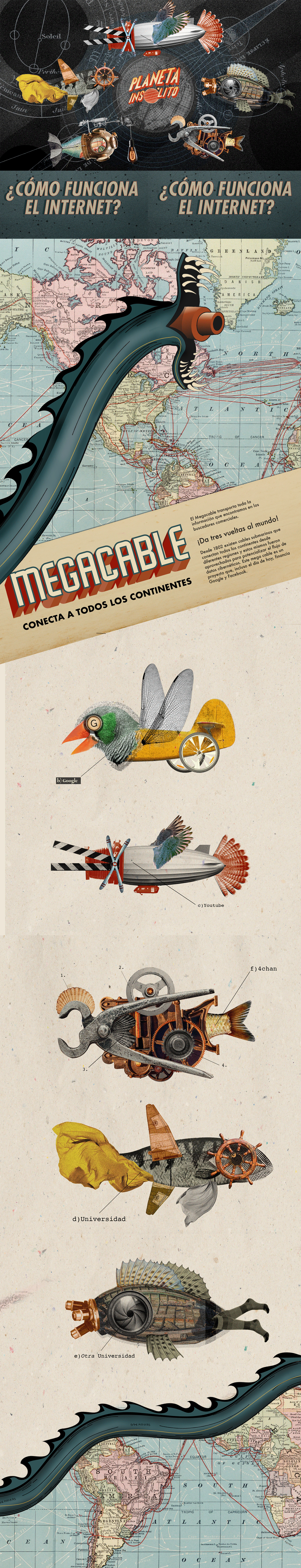 animation  collage deepweb design fish ILLUSTRATION  logo Ocean planet Serie