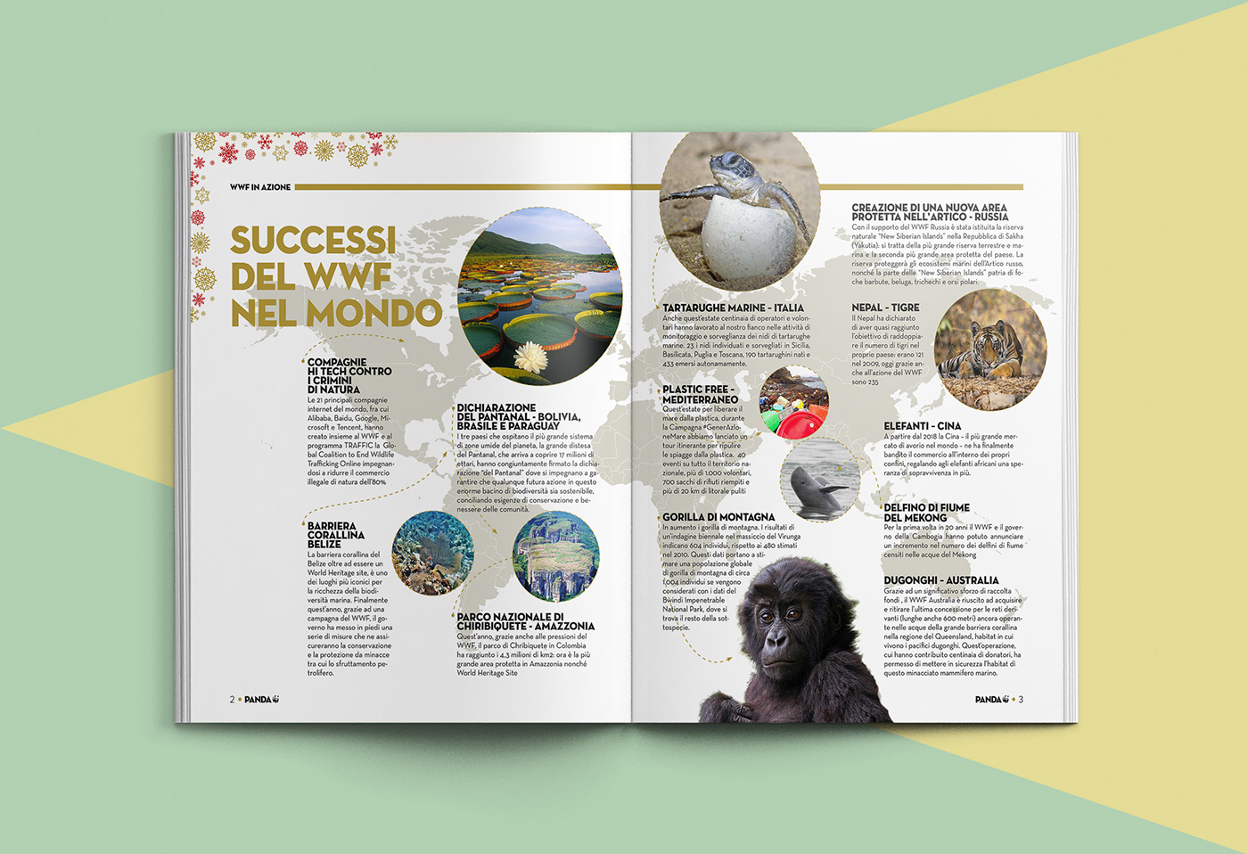 art directiom progettazione aurea magazine editorial design  cover Panda  WWF