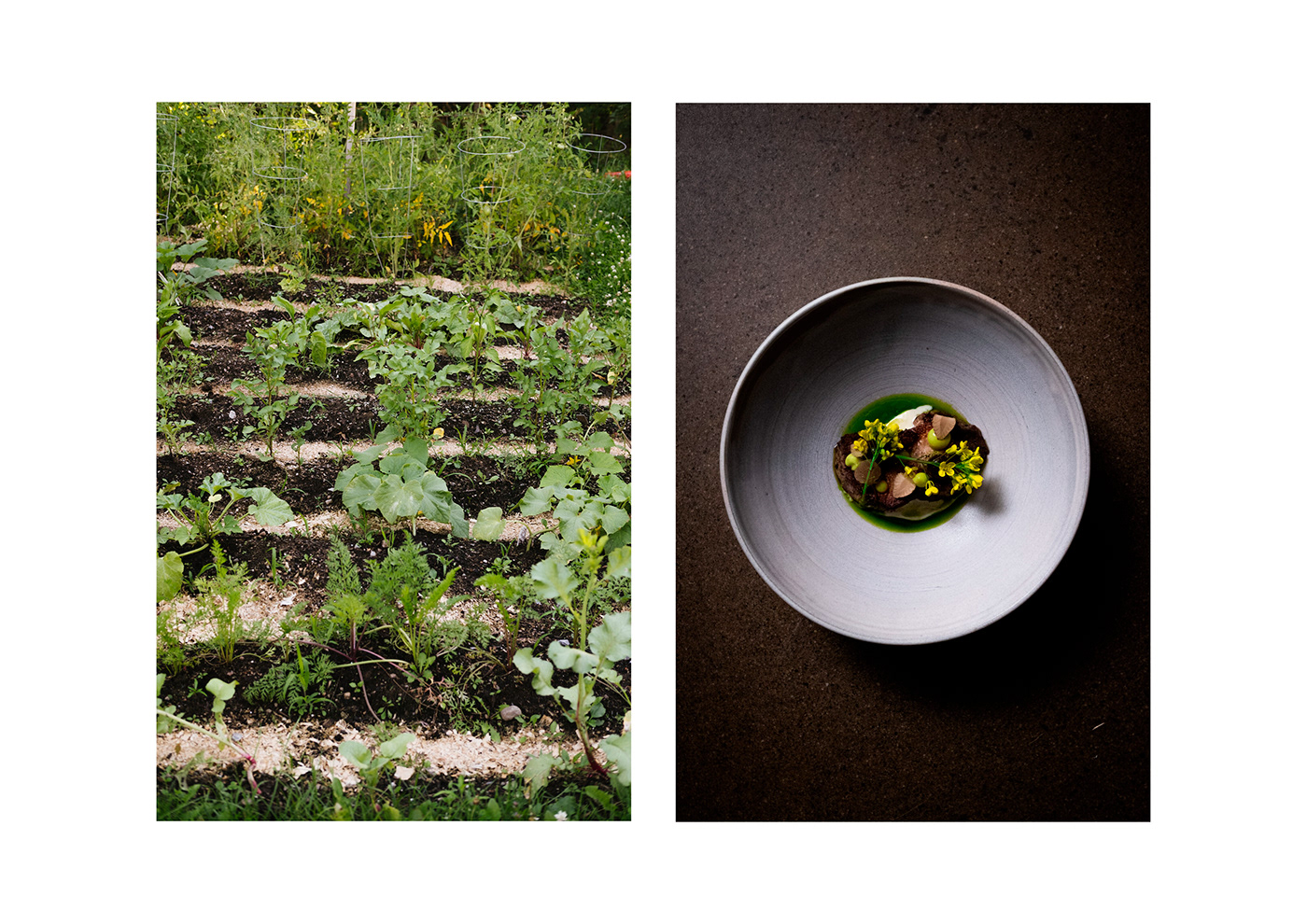 branding  cuisine minimalist nordic Food  minimal Nature