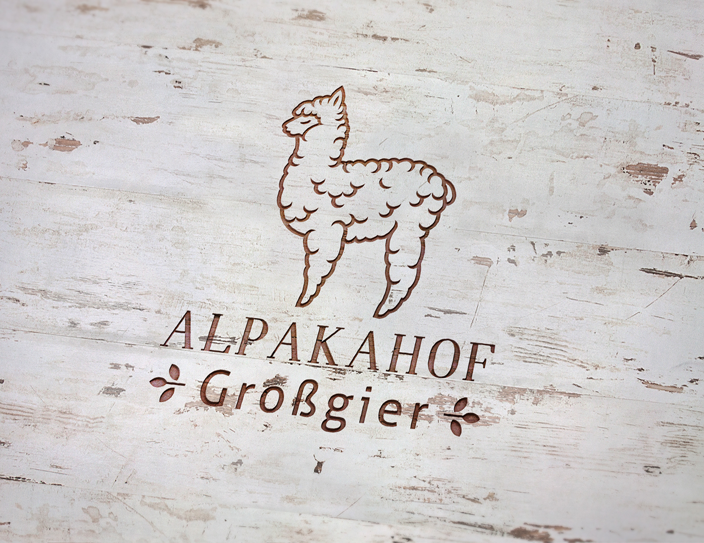 alpaca alpaka animals logo identity graphic