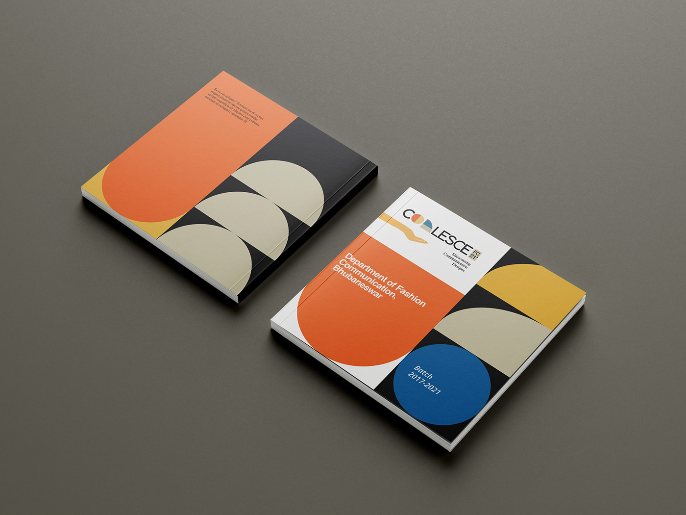 art design graphic design  graphics ILLUSTRATION  Layout Design publication design typography   Visual Communication