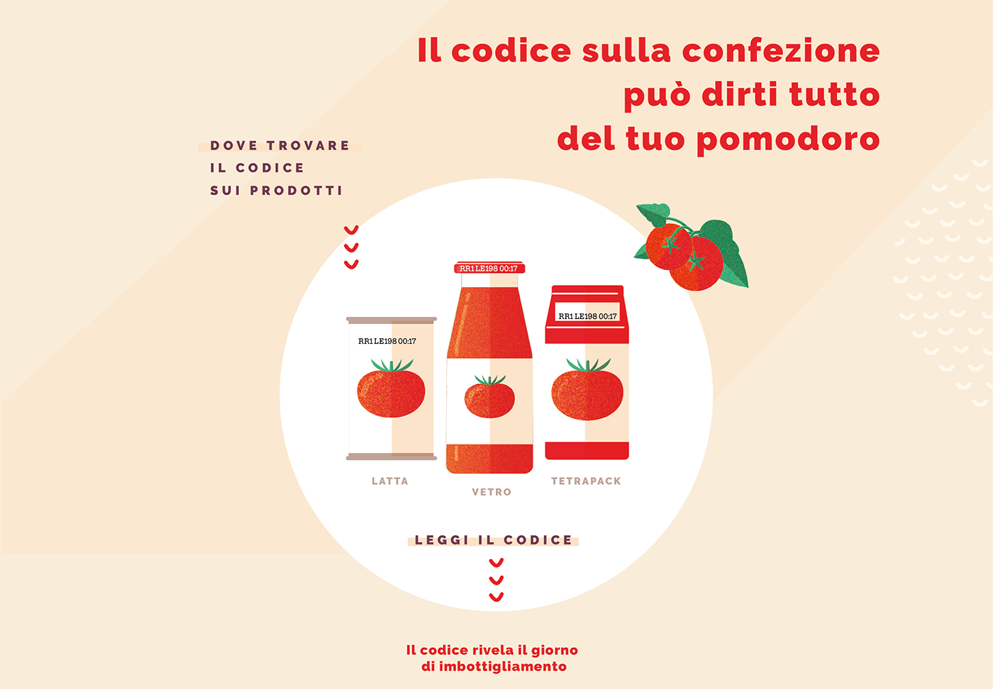 Data Food  grow infographic infographics motion Tomato vegetables video