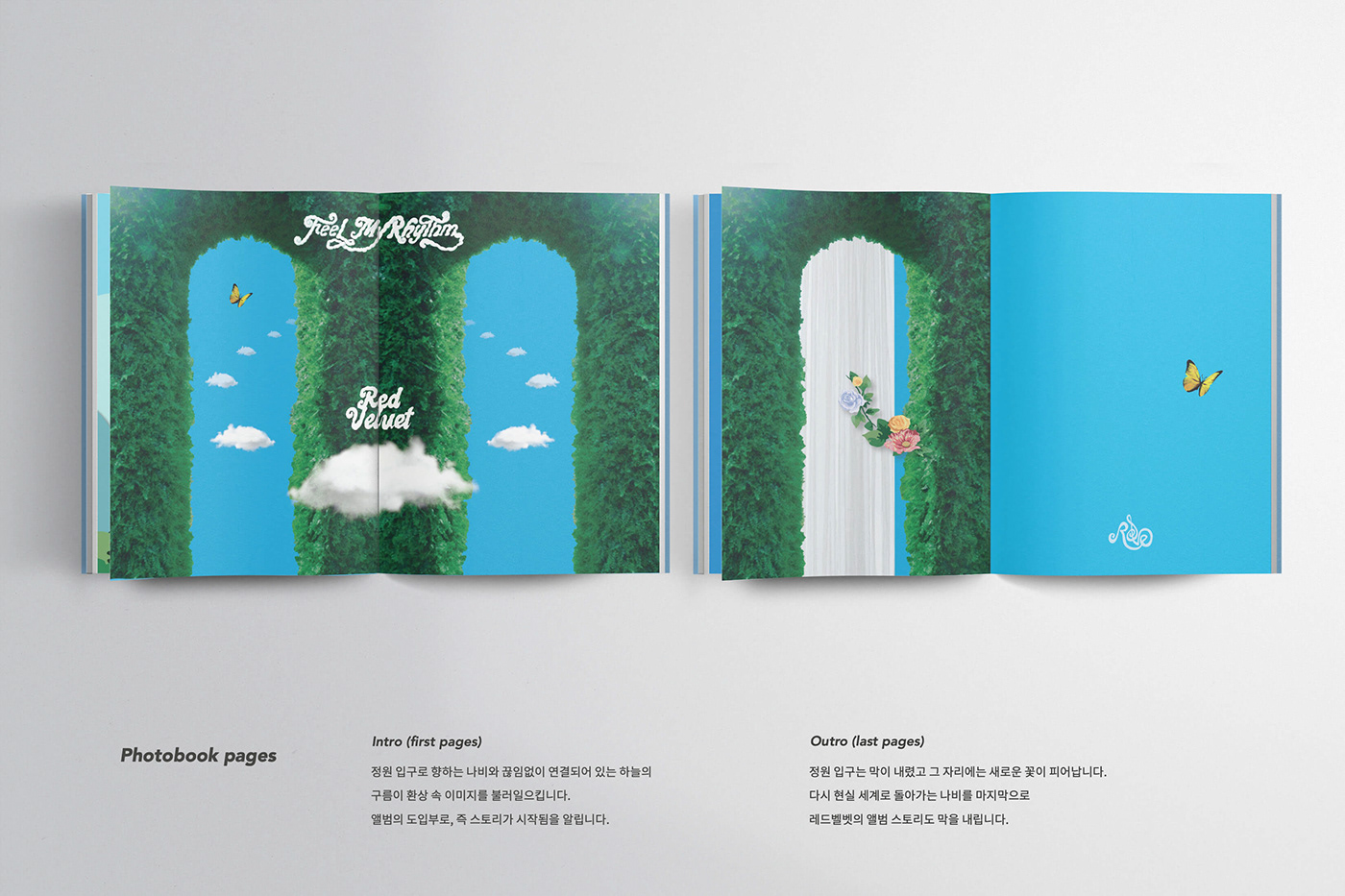 Album album art album cover design goods graphic design  package product design  redesign packaging design