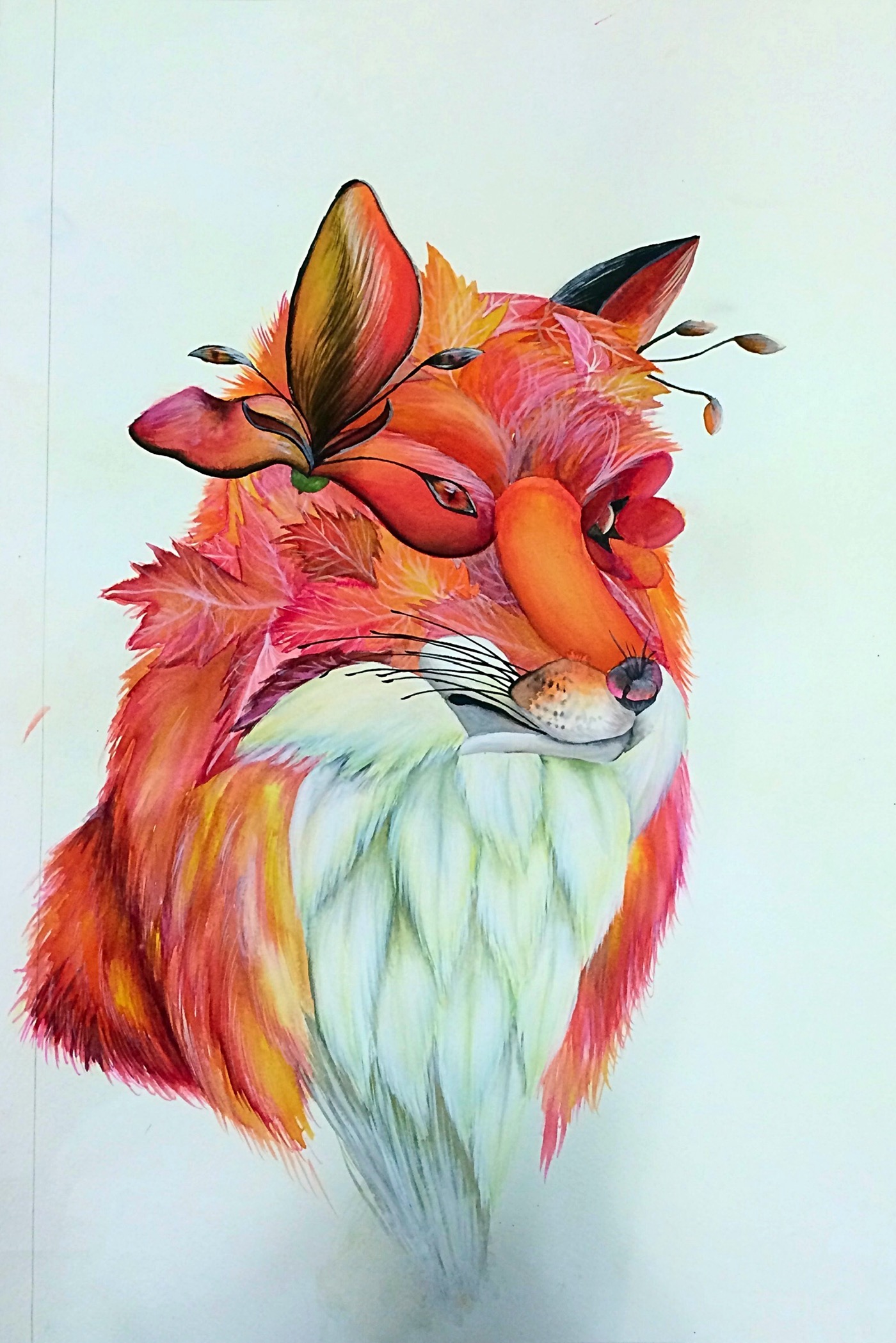 foxes FOX ink Art surrealism Archim Baldo Nature wolf owl Cat Rooster
