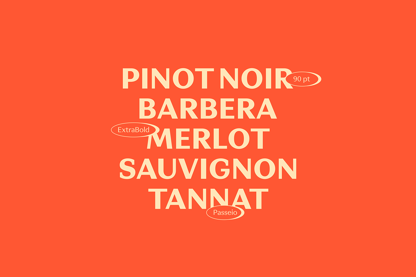 font type design typography   graphic design  Packaging Graphic Designer font design Typeface design wine