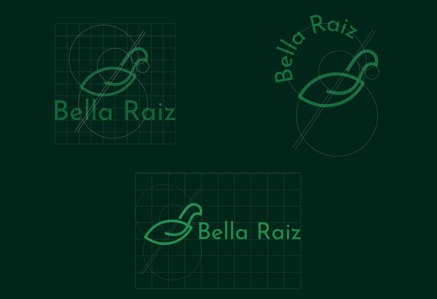 Bella Raiz brand branding  Brasil design gráfico graphic design  logo Logotipo marca natural