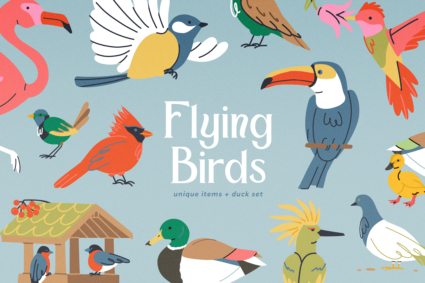birds cartoon Character design  design Digital Art  Drawing  Flying icons illustrations wings