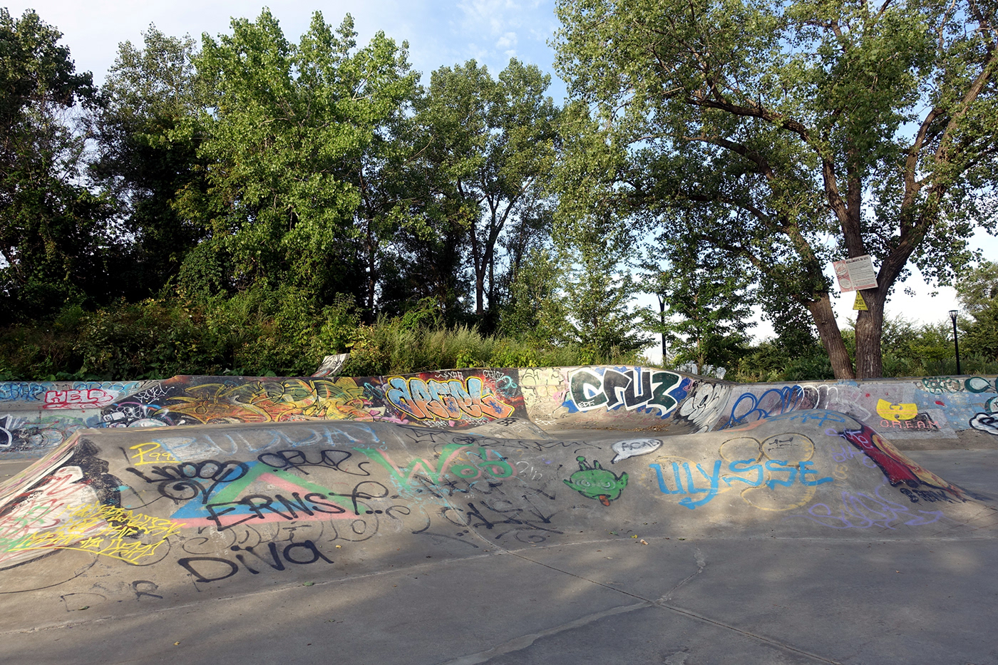 Canada Graffiti Montreal Photography  skatepark TAZ