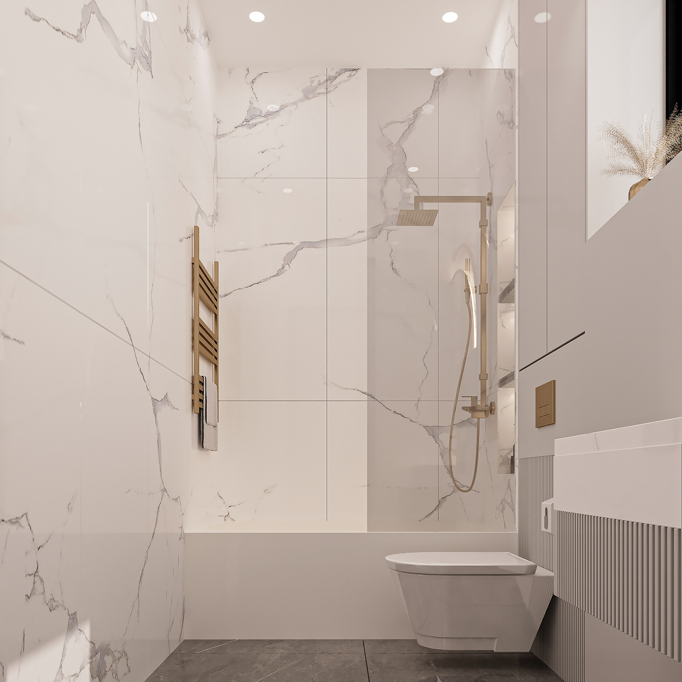 bathroom interior design  White modern toilet