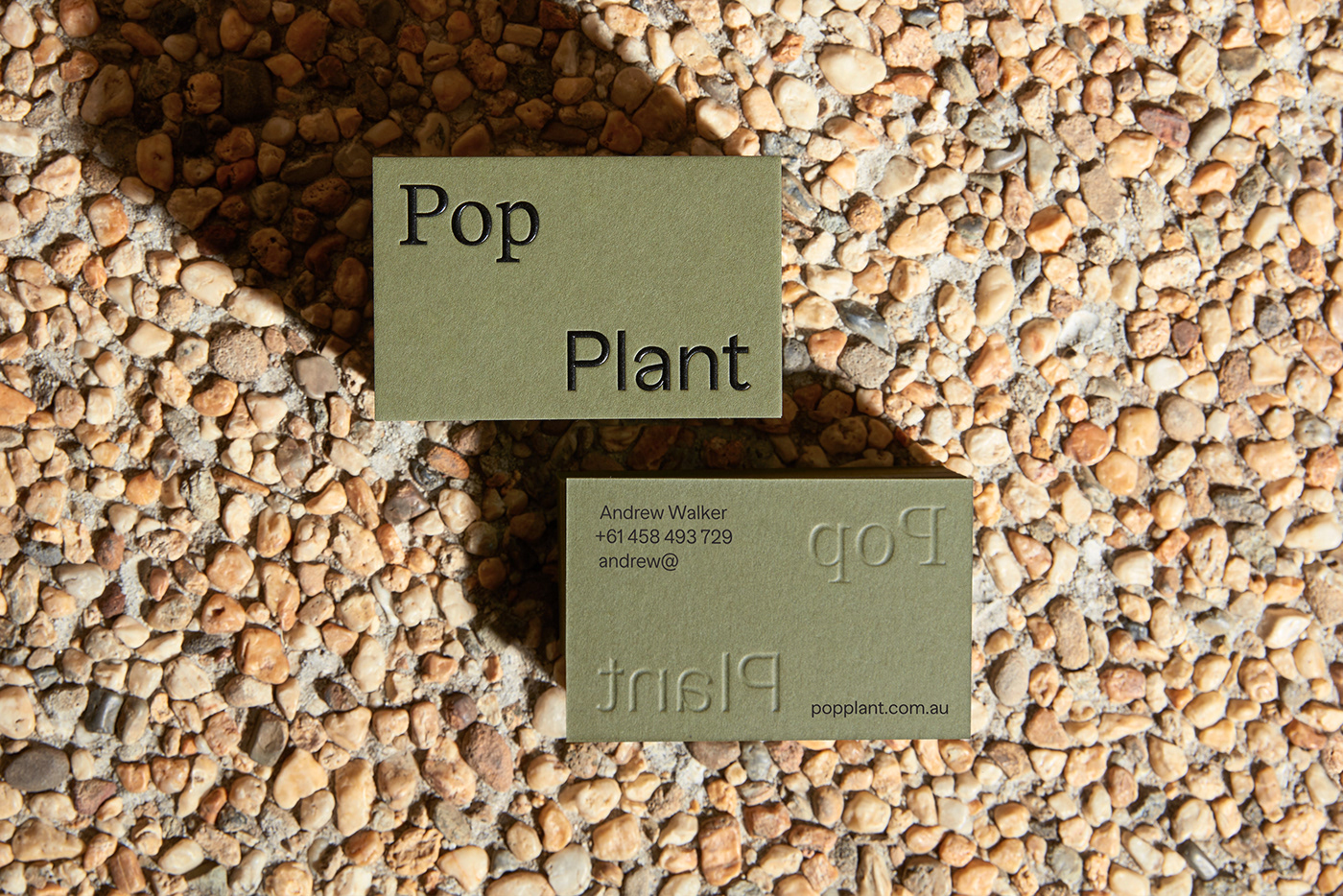 business card deboss emboss foil green notepad Plant postcards