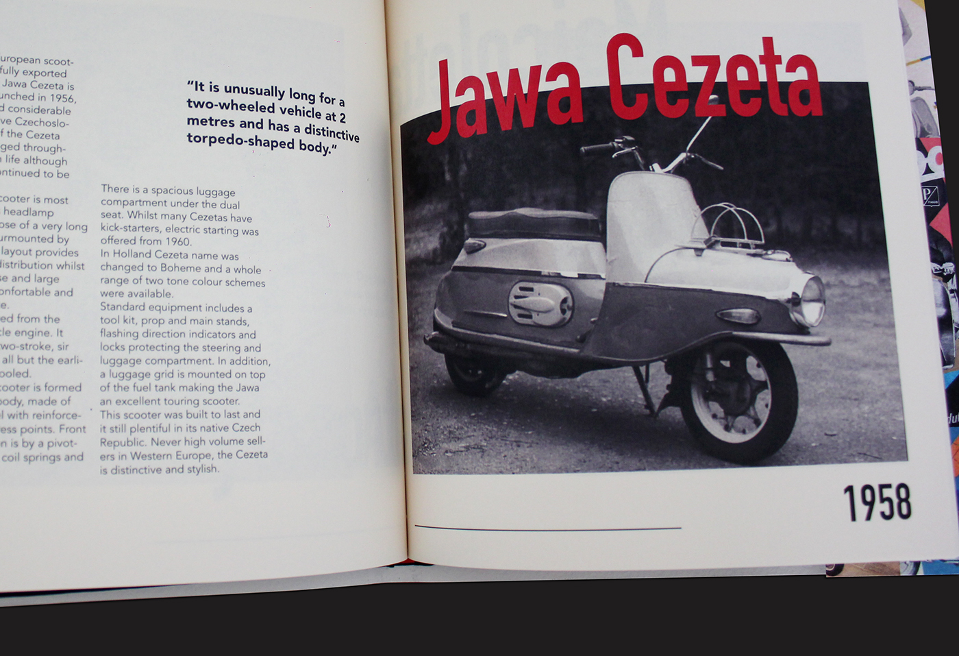 branding  book design editorial design  graphic design  typography   layouting