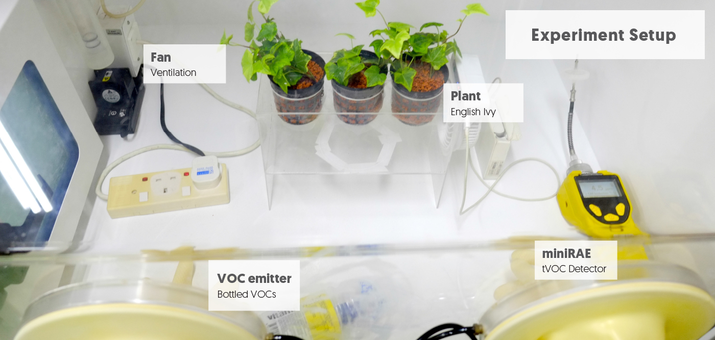 purifier Plant design air research experiment industrial design  product design  product green