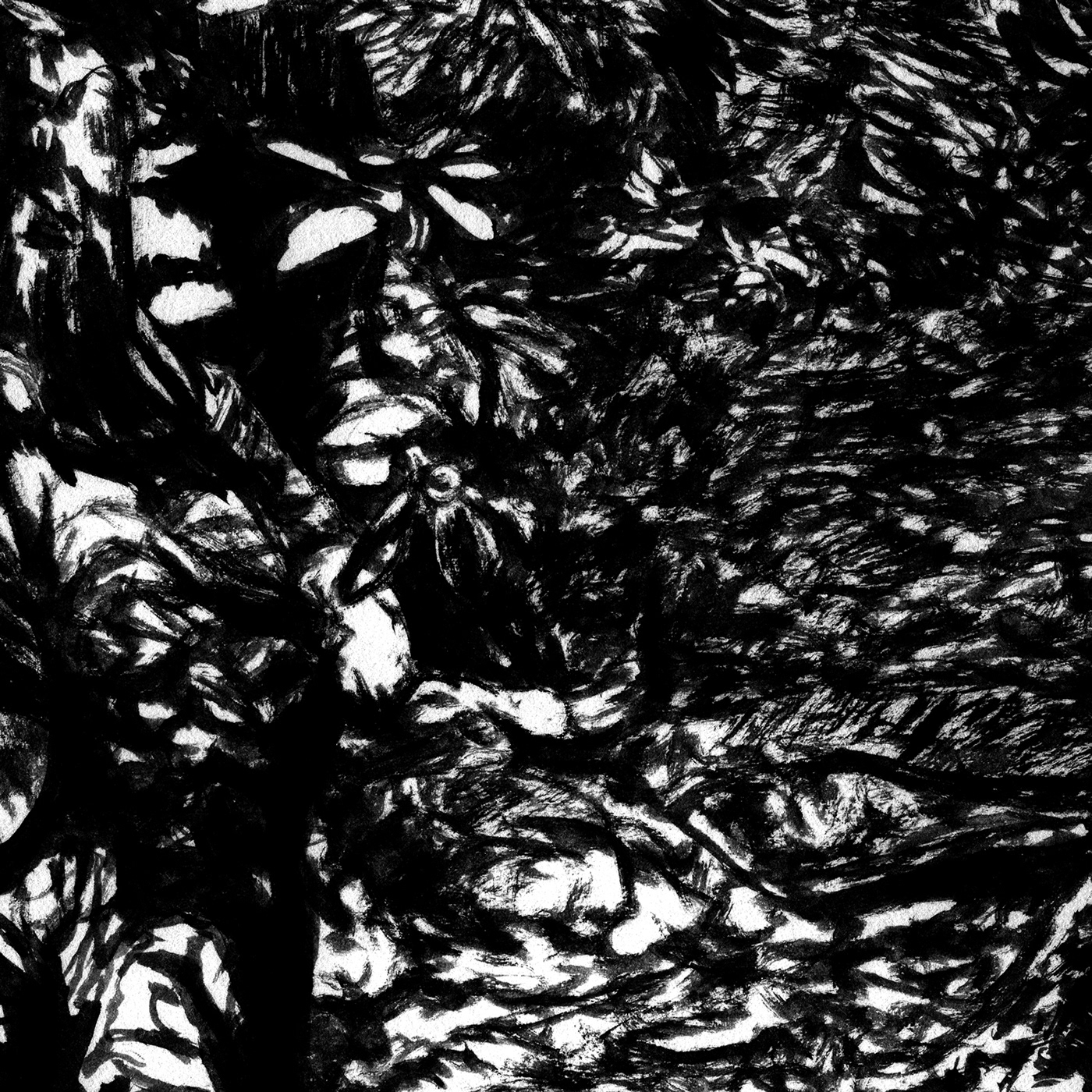 black and white brushpen dappledlight forest ILLUSTRATION  Nature pen drawing penandink Shadows