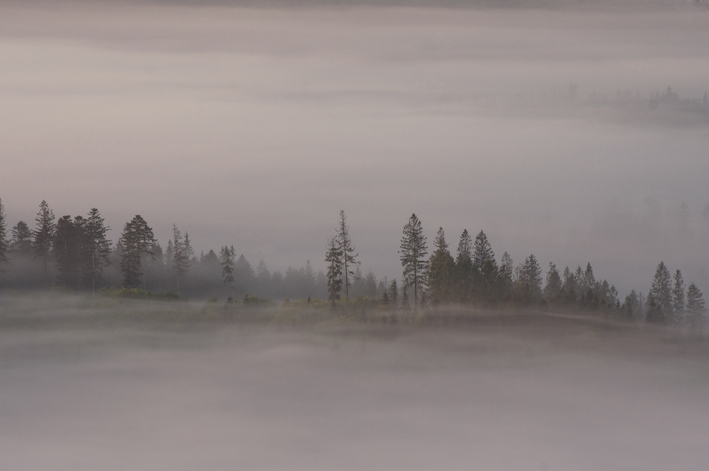 valle mist fog Sunrise sunbeams forest Landscape trees