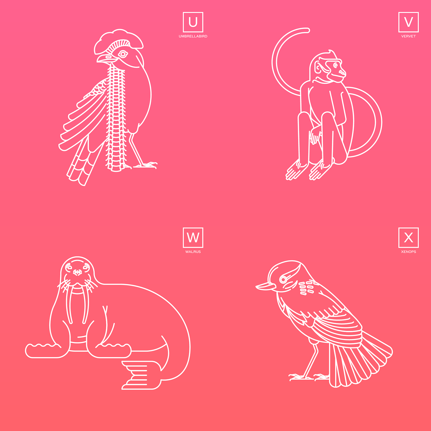 animal animalphabet alphabet design monoweight monoline digital art Design series line line art pictos adobe