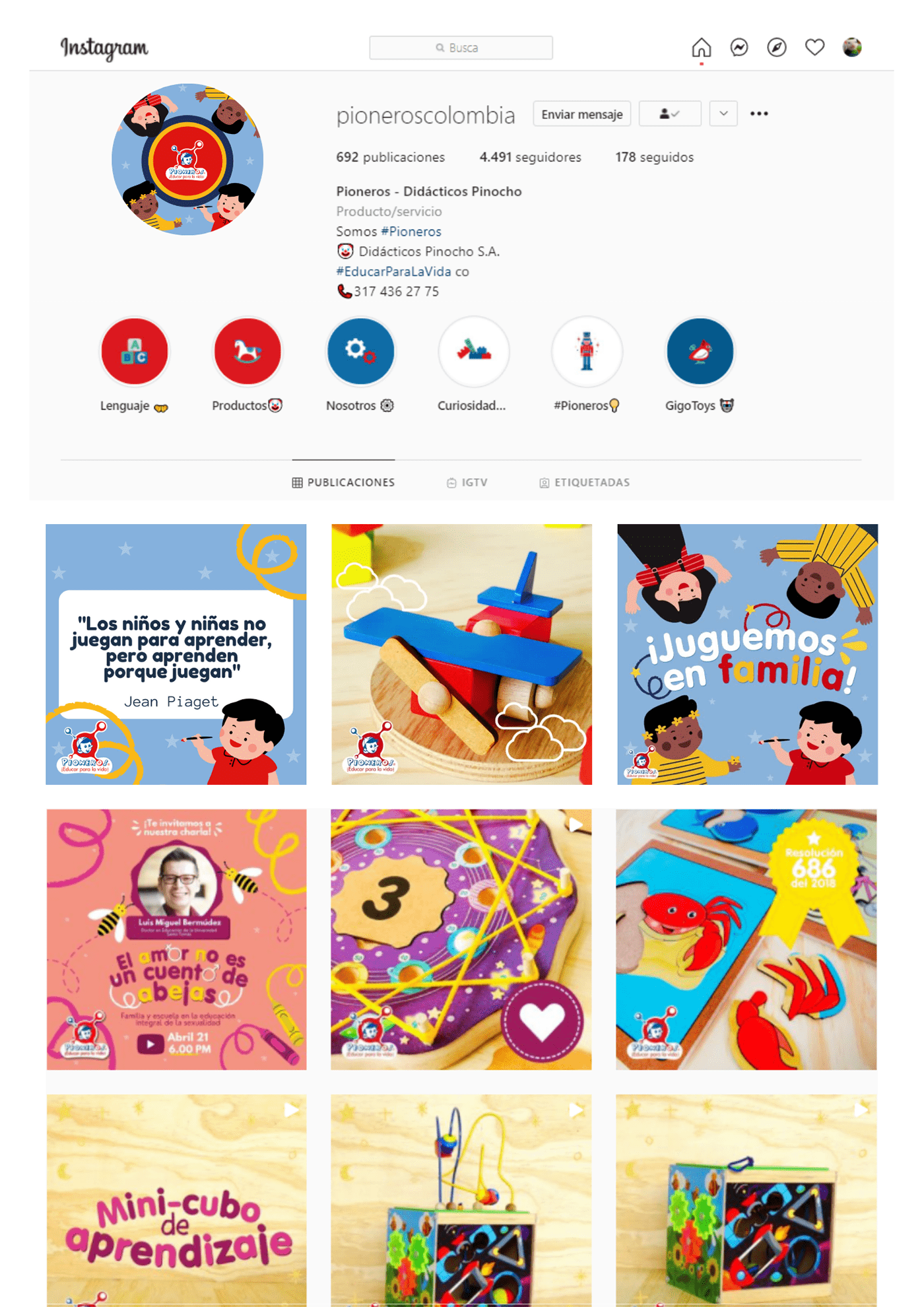 branding  colombia colors kids New logo Web Design  wooden toys