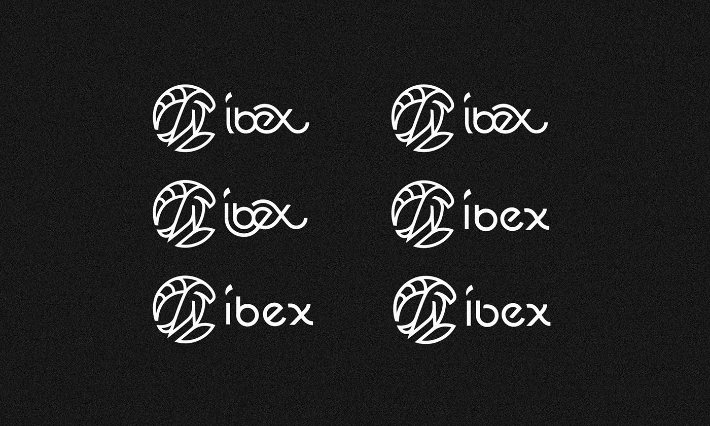 alpine animal branding  Capra creative process ibex logo Logo Design wild