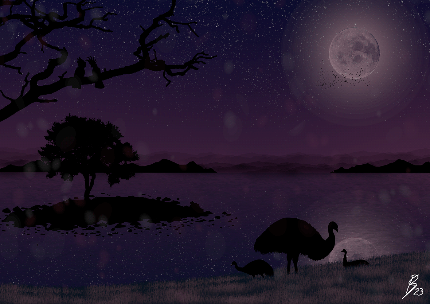Landscape Nature ILLUSTRATION  Silhouette Australia EMU water Evening full moon reflection