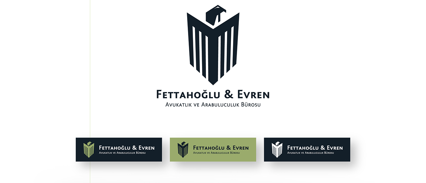 branding  Website Logo Design logo eagle law Office