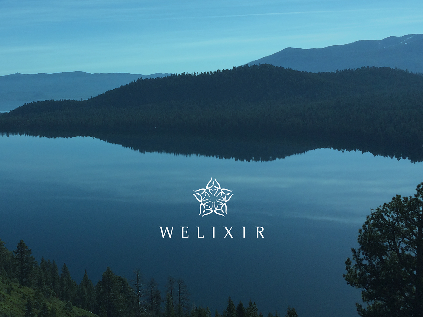 India Wellness elixir resort Welixir nirvana peace Health life Yoga