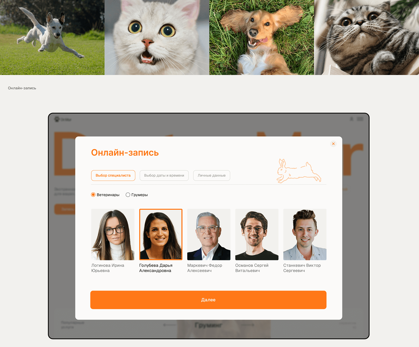 UI/UX Figma user interface ux ui design Web veterinary
