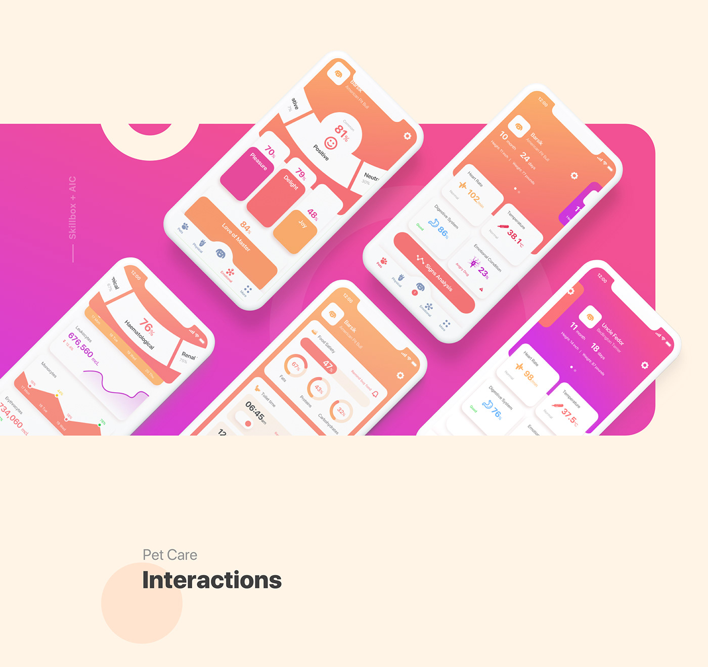 app UI ux interaction Pet concept