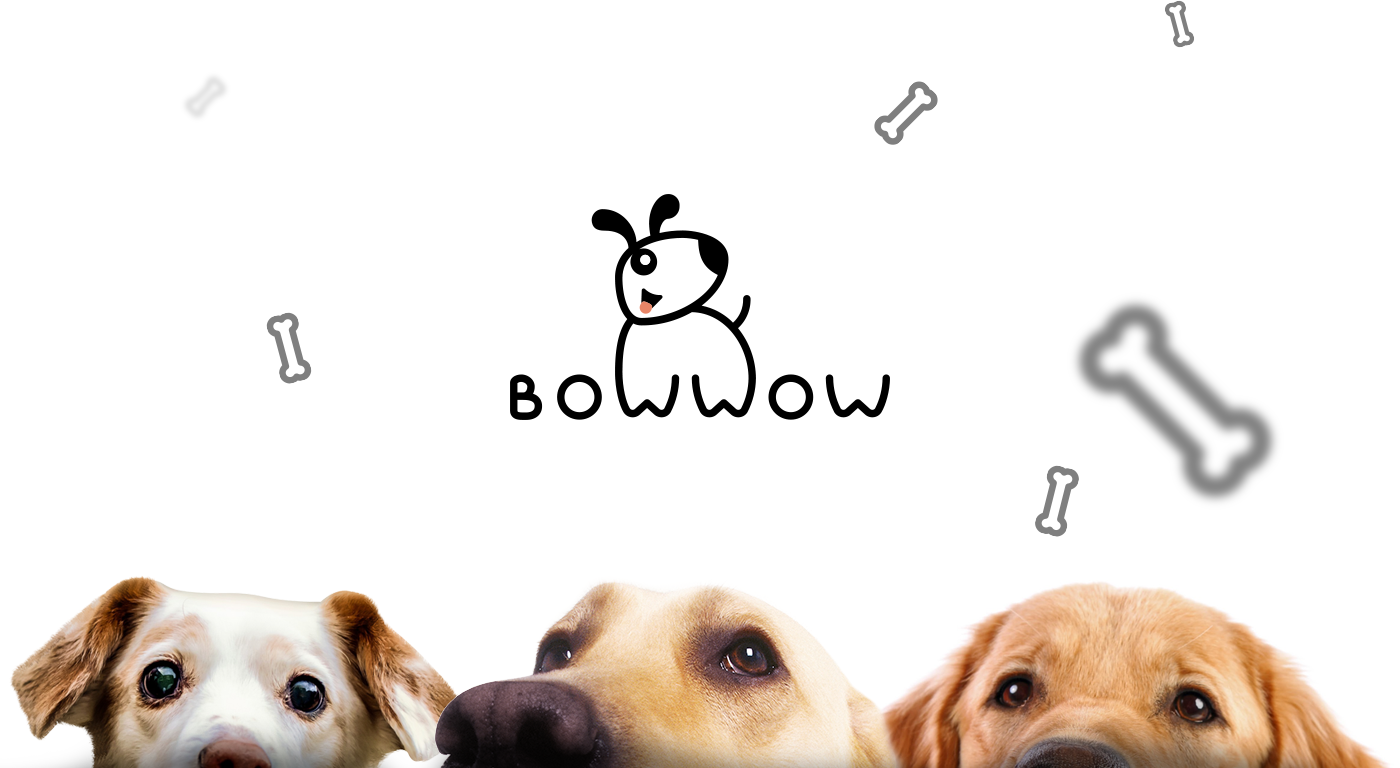 dog doggie doggy Bowwow Logotype bone Pet store logo minimal