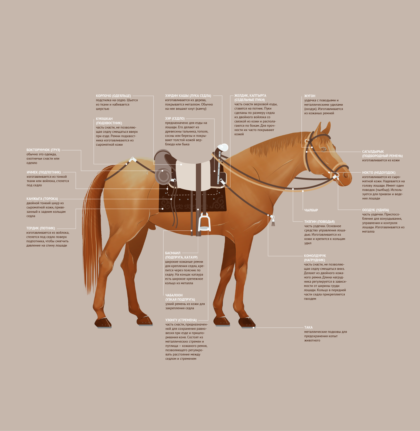horse infographics kyrgyzstan nomad saddle инфографика конь кочевник Кыргызстан лошадь