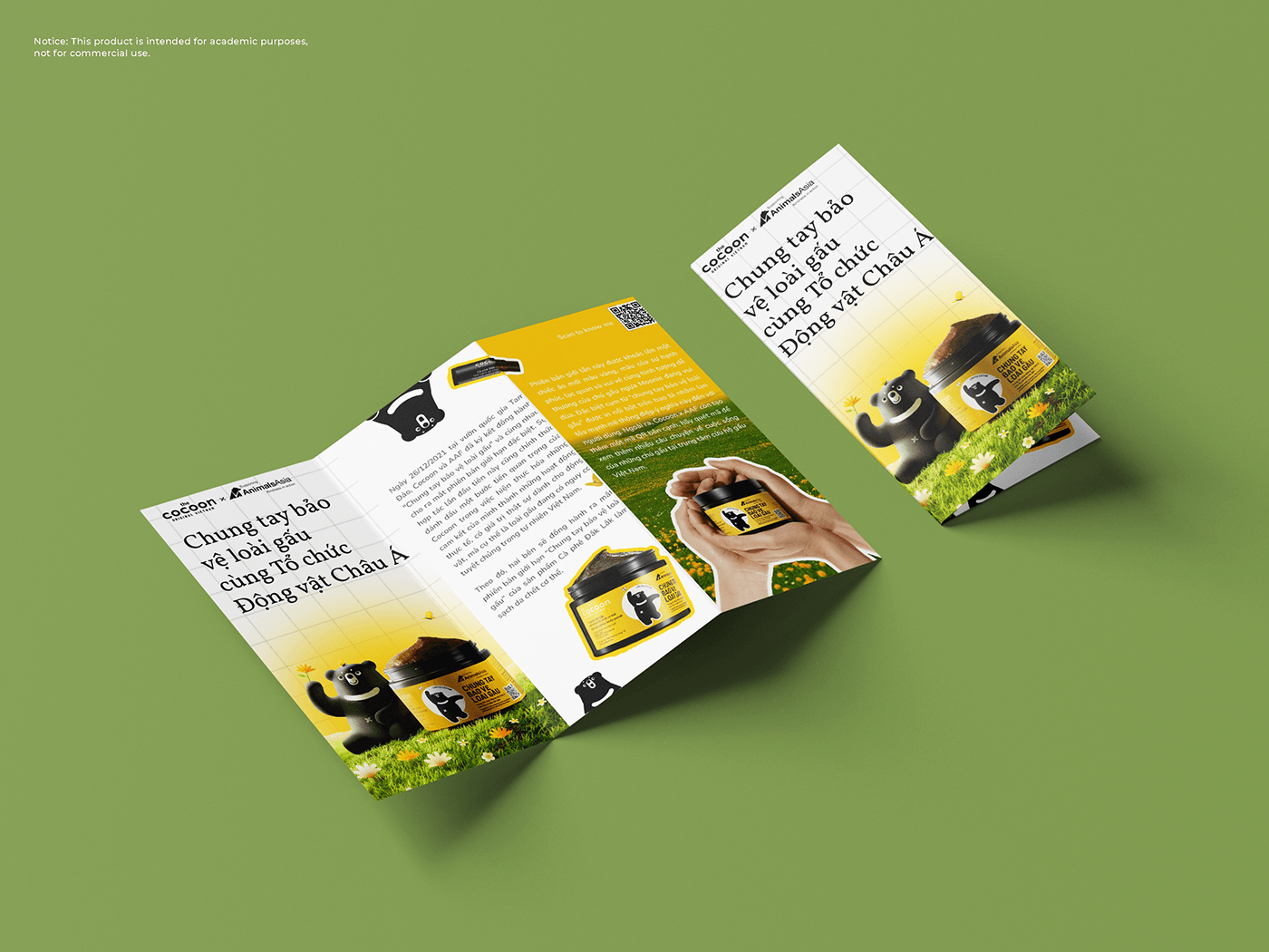 brochure trifold photoshop design branding  identity Advertising 