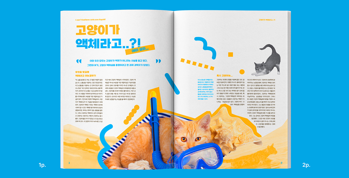 animal Cat editorial magazine InDesign editorial design  book Layout brochure design