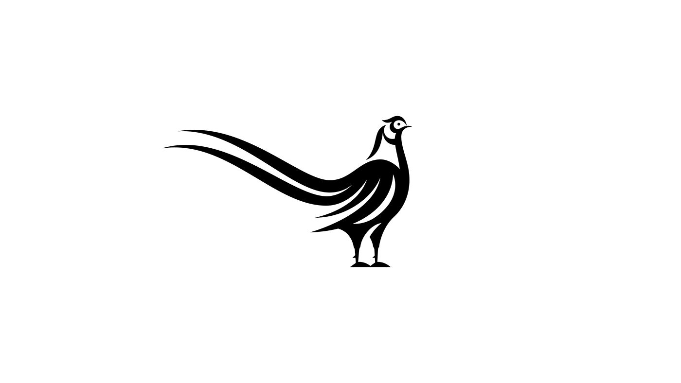 Bird Logos On Behance