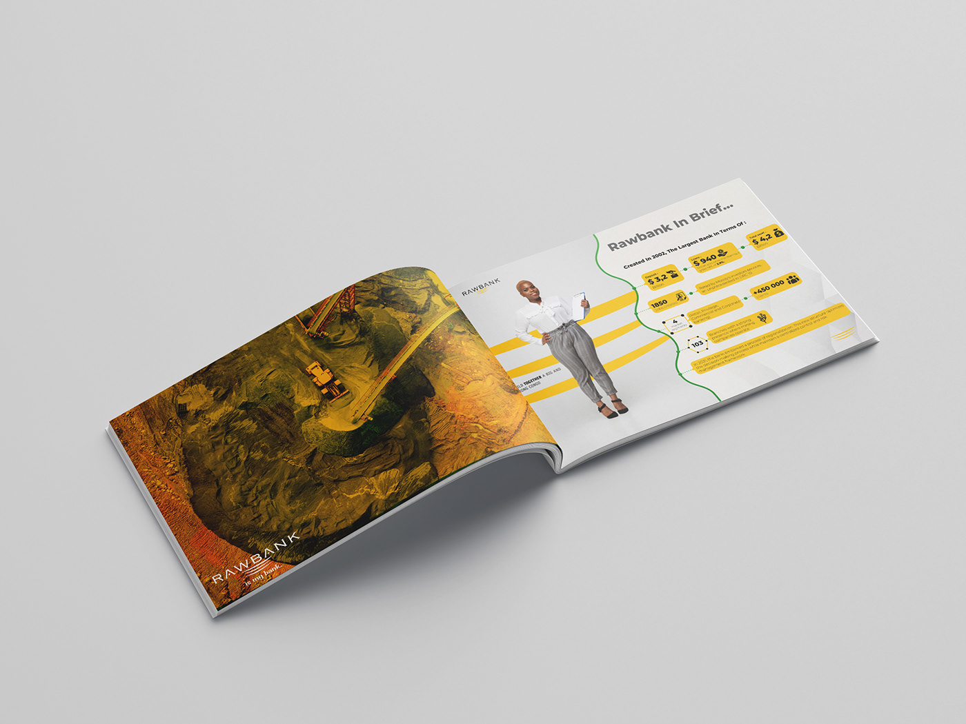 Bank money finance Mining mineria corporate business print book mentora